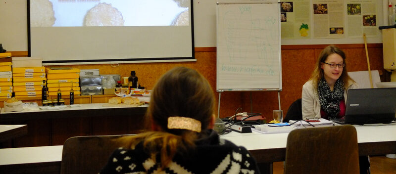 PilzCoach, PilzAusbildung, PilzSeminar, Pilze, Mykologie, Schwäbisch Gmünd, Pilzführung