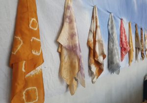 Färben mit Pilzen, Pilzpigmente, Naturfärbung